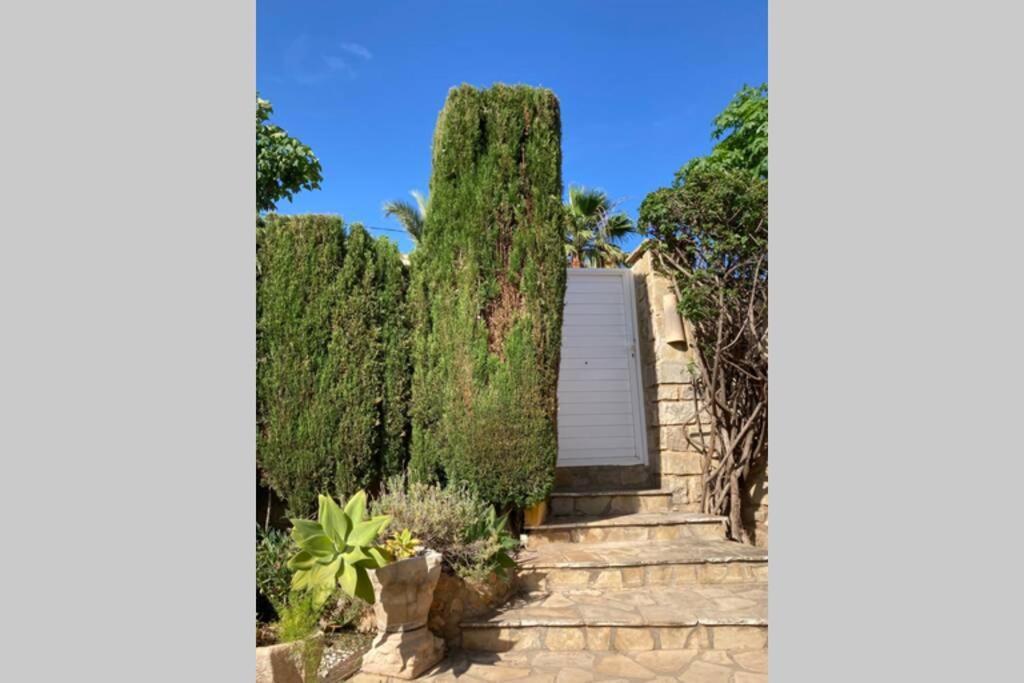 Villa Tere - Close To Everywhere La Nucía 外观 照片